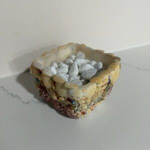 Seashell Decorative Bowl in Cream and Natural Tones